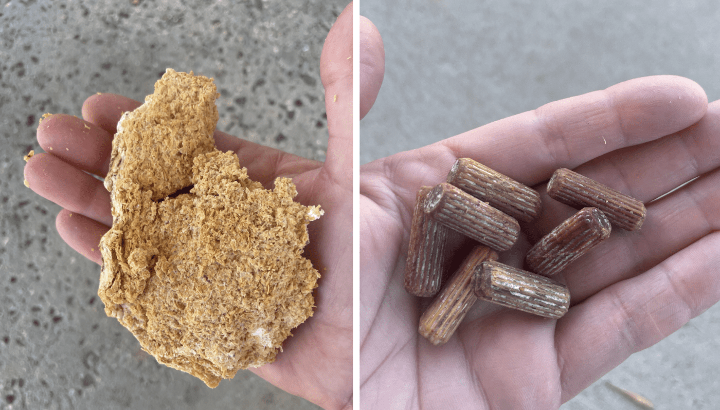 Figure 1. Sawdust spawn (a) and dowel spawn (b). Photo Credit: A. Shabel